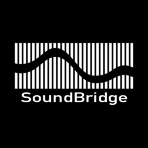 The Sound Bridge company Logo